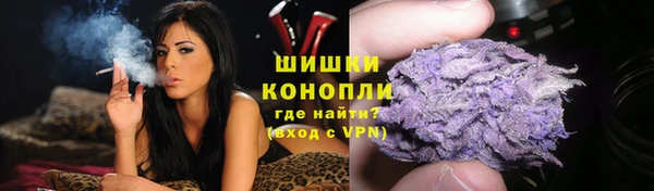 Альфа ПВП Ростов