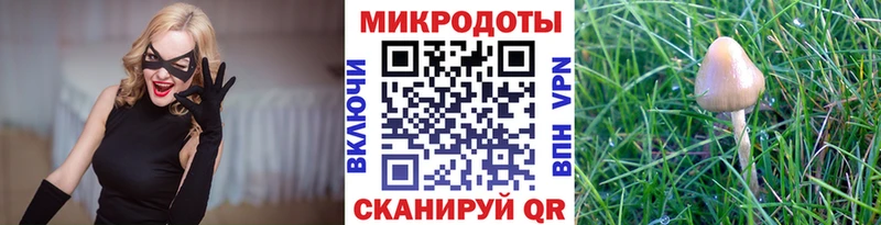 где найти наркотики  Партизанск  Псилоцибиновые грибы Psilocybe 